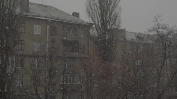 Gün boyunca şehirde kar yağışı. Kyiv. Ukrayna - Video, Çekim