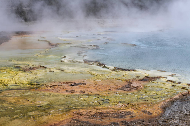 Geysir in the grand prismatic spring area in the Yellowstone Nat - Fotografie, Obrázek