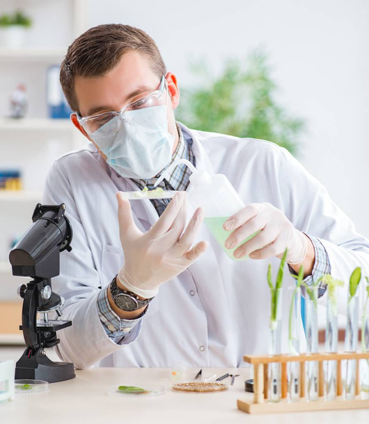 植物学研究室で働く男性生化学者 - 写真・画像