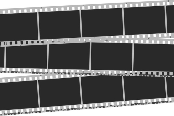Photo camera blank negative frames. Camera roll - Vector, Image