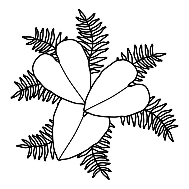 exotic and tropical leafs plant decoration - Vector, imagen
