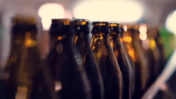 De nombreuses bouteilles sur bande transporteuse en usine - Séquence, vidéo
