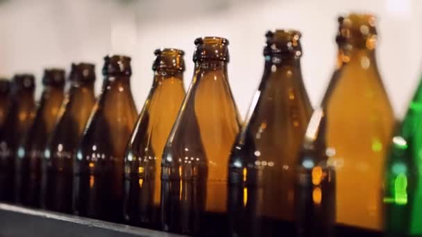 Puste butelki po piwie na linii - Materiał filmowy, wideo