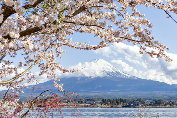 Mont Fuji et Sakura rose avec ciel bleu au lac Kawaguchiko - Photo, image