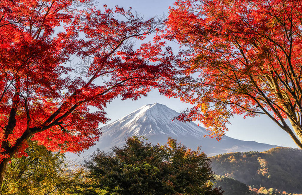 Fuji Mountain ja Red Maple Leaves syksyllä Kawaguchiko järvellä - Valokuva, kuva