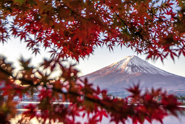 Fuji Mountain und Red Maple Leaves Frame im Herbst, Kawaguchiko  - Foto, Bild