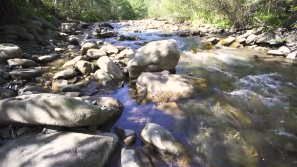 4K landscape. Beauty of nature. Mountain river, stream flow  and stones. - Footage, Video