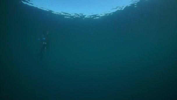 Baykal Gölü 'nde suyun altında kameralı dalgıç silueti.. - Video, Çekim