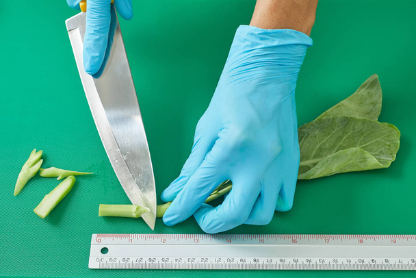 Closeup hand cutting vegetables on cutting boar - Foto, afbeelding