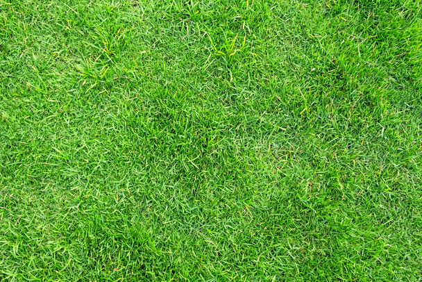 Groen gras patroon en textuur voor achtergrond. - Foto, afbeelding