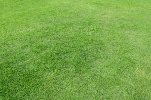 Πράσινο λιβάδι χόρτο για γήπεδο ποδοσφαίρου. - Φωτογραφία, εικόνα