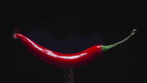 scharfe rote Paprika gebratene Paprika scharfe Mahlzeiten chinesisch - Filmmaterial, Video