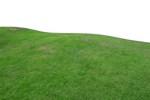 verde collina di erba campo isolato su sfondo bianco
. - Foto, immagini