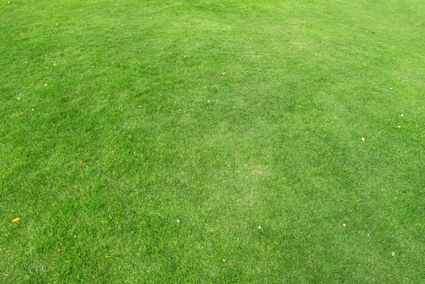 Grünes Gras Textur für Hintergrund. Muster und Textur des grünen Rasens - Foto, Bild