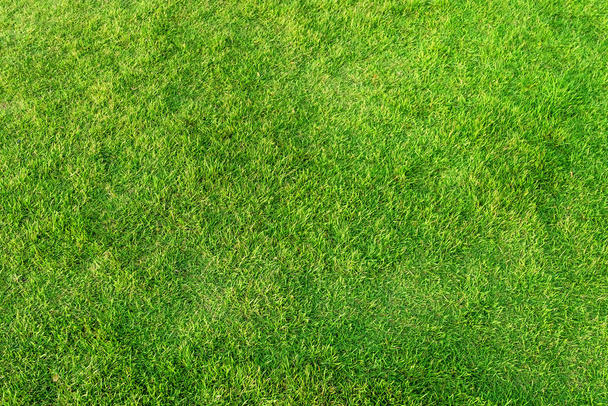 Mesterséges zöld fű háttér. Zöld fű padló textúra ide - Fotó, kép