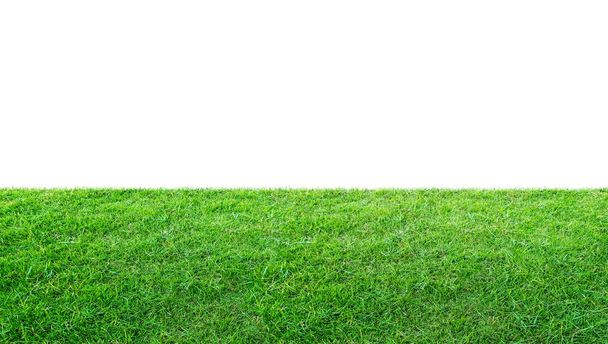Groene gras weide veld van outdoor park geïsoleerd in witte achtergrond met clipping pad. Buitenland weide natuur. landschap van gras veld in openbaar park gebruik als natuurlijke achtergrond. - Foto, afbeelding