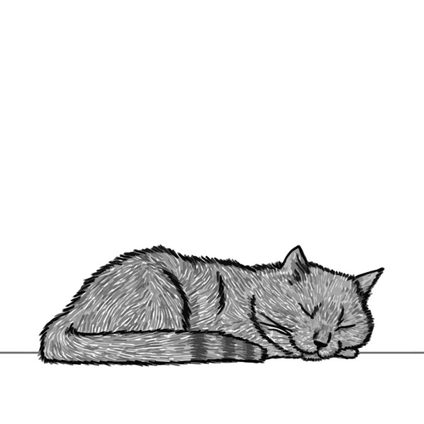 Uyuyan şirin bir kedi çiziyor, başını patisinin üzerinde dinlendiriyor. Bir hayvanın siyah beyaz çizimi. Bir hayvanın gerçekçi görüntüsü. Vektör izole illüstrasyon karakteri - Vektör, Görsel