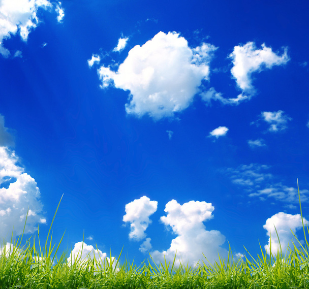 green grass with the sky - Photo, Image