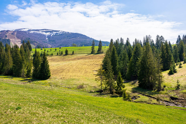 carpathian countryside springtime  - Fotoğraf, Görsel