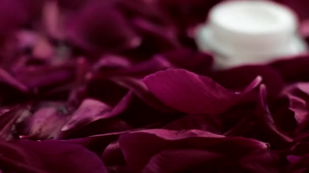 Ενυδατική κρέμα προσώπου με ευαίσθητη επιδερμίδα σε πέταλα λουλουδιών και φόντο νερού, φυσική επιστήμη για το δέρμα - Πλάνα, βίντεο
