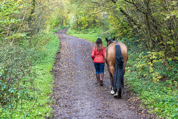 Mujer con chaqueta roja caminando con un caballo a lo largo de un bosque trai
 - Foto, imagen