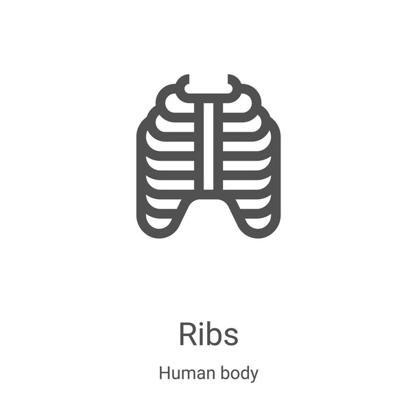 ribs icon vector from human body collection. Thin line ribs outline icon vector illustration. Linear symbol for use on web and mobile apps, logo, print media - Vector, Image