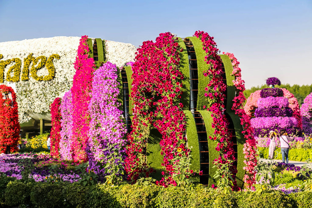 Piękny Kwitnący Krajobraz Cudownego Ogrodu z ponad 45 milionami kwiatów w słoneczny dzień, Flower Garden w Dubaju, Uae - Zdjęcie, obraz