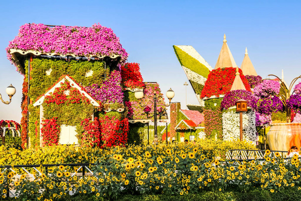 Piękny Kwitnący Krajobraz Cudownego Ogrodu z ponad 45 milionami kwiatów w słoneczny dzień, Flower Garden w Dubaju, Uae - Zdjęcie, obraz