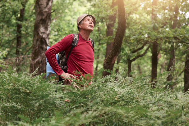 Outdoor shot of senior traveler walking in forest, wearing casual clothes, carries backpack with rug, standing with hands on hips and looking up on sky, relaxing in open air, enjoying fresh air. - Foto, Imagen