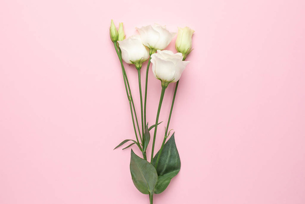 White eustoma flowers on pink background. Minimalistic composition for the holidays. - 写真・画像