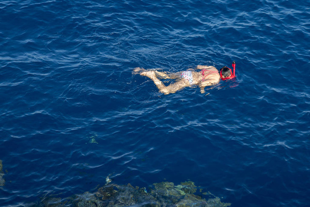 Girl at sea snorkeling. Sea vacation concept. - Photo, Image