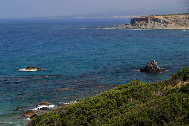 Spiaggia di Lara, penisola di Akamas, Cipro
 - Foto, immagini