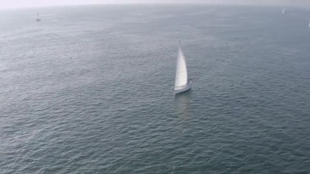 Venedik plajı yakınlarındaki Kaliforniya kıyılarında yelken açan yatların hava panoramik görüntüsü. - Video, Çekim