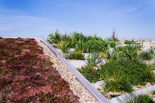 Planta de tratamiento de aguas residuales de la zona de raíces en el extenso techo de césped ecológico ecológico vivo
  - Foto, imagen