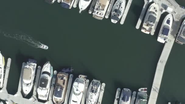 Letecký pohled na jachty a plachetnice zakotvené v přístavu v Los Angeles California - Záběry, video