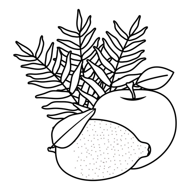 friss alma és citromgyümölcs - Vektor, kép