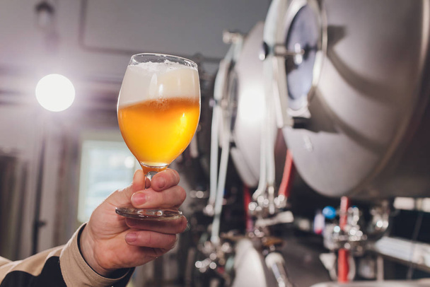 Mature man examining the quality of craft beer at brewery. Inspector working at alcohol manufacturing factory checking beer. Man in distillery checking quality control of draught beer. - 写真・画像