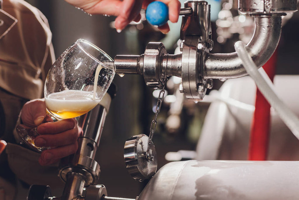 browarnik i fartuch nalewają piwo do szklanki do kontroli jakości, stojąc za ladą w browarze. - Zdjęcie, obraz
