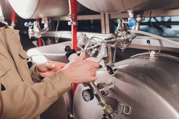 Bira üreticisi ve önlük kalite kontrol için bardağa bira doldurur, bira fabrikasında tezgahın arkasında durur.. - Fotoğraf, Görsel
