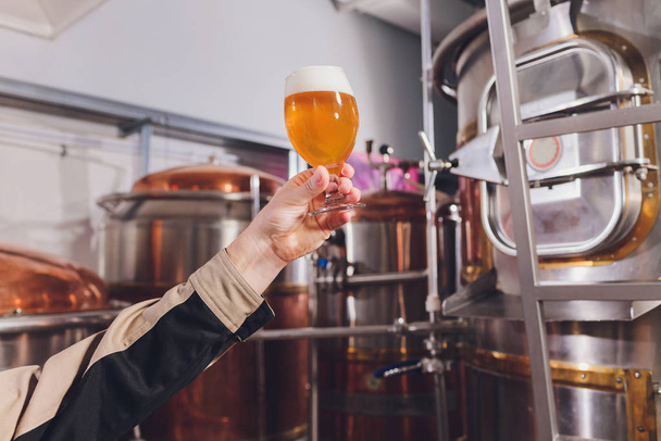Mature man examining the quality of craft beer at brewery. Inspector working at alcohol manufacturing factory checking beer. Man in distillery checking quality control of draught beer. - Photo, image