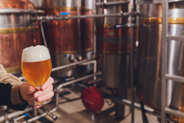 Mature man examining the quality of craft beer at brewery. Inspector working at alcohol manufacturing factory checking beer. Man in distillery checking quality control of draught beer. - Photo, Image