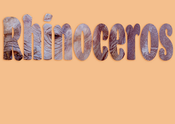 Rhinoceros Texto de la imagen del rinoceronte
 - Foto, imagen