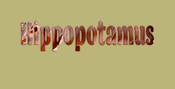 Texto Hippopótamo da Imagem do Hippopótamo
 - Foto, Imagem