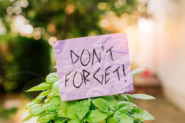 Textzeichen mit der Aufschrift "Nicht vergessen". konzeptionelles Foto, das verwendet wird, um jemanden an wichtige Fakten oder Details zu erinnern, einfaches leeres Papier, das an einem Stock befestigt und in den grünen Blattpflanzen platziert wird. - Foto, Bild