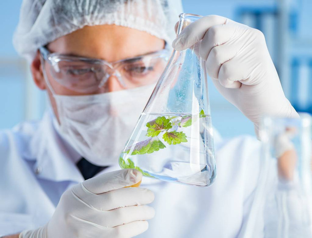 Concepto de biotecnología con científico en laboratorio - Foto, Imagen