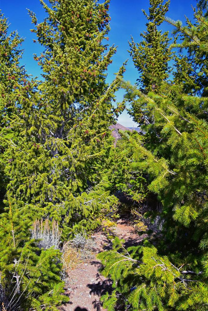 Butterfield kanjoni vaellus polku näkymät Oquirrh valikoima pitkin Wasatch Front Kalliovuoret, Kennecott Rio Tinto kuparikaivos, Tooele ja Salt Lake City syksyllä. Utah, Yhdysvallat
. - Valokuva, kuva