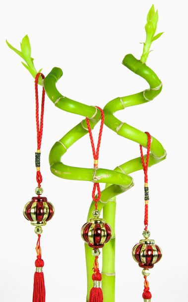 Lucky Bamboo and Chinese New Year Hanging Decoration, Isolated on White Background - Photo, Image