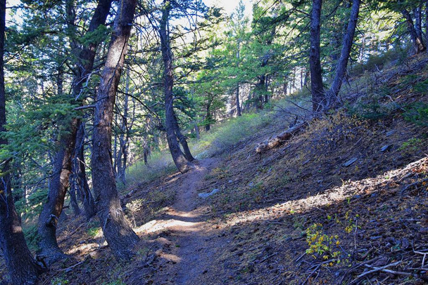 Butterfield Canyon ścieżki piesze widoki na łańcuch Oquirrh wzdłuż Wasatch Front Góry Skaliste, przez Kennecott Rio Tinto kopalni miedzi, Tooele i Salt Lake City upadku. Utah, Stany Zjednoczone. - Zdjęcie, obraz