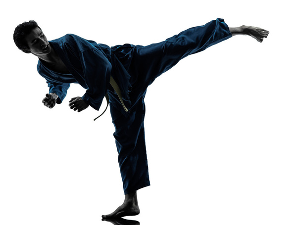 karate vietvodao martial arts man silhouette - Fotoğraf, Görsel