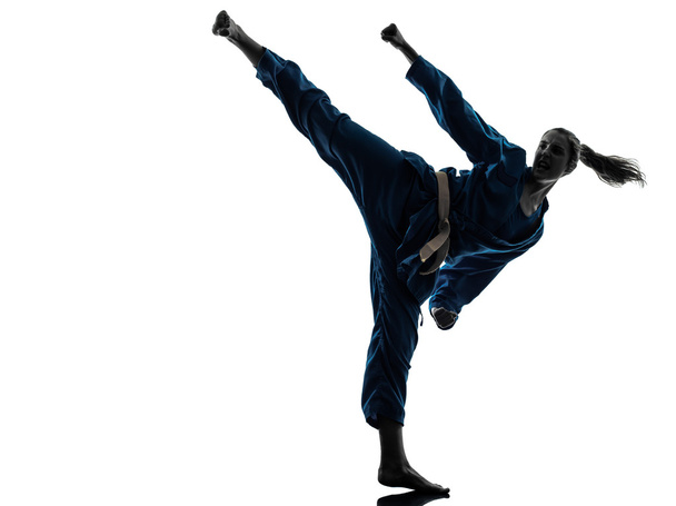 karate vietvodao martial arts woman silhouette - Fotoğraf, Görsel